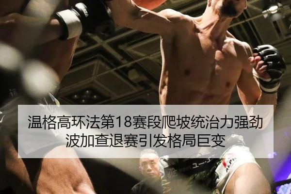 温格高环法第18赛段爬坡统治力强劲 波加查退赛引发格局巨变