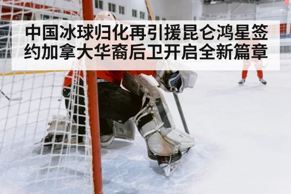 ice hockey defensive play