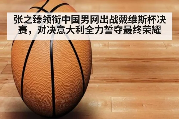 张之臻领衔中国男网出战戴维斯杯决赛，对决意大利全力誓夺最终荣耀